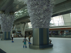 Skating Rink