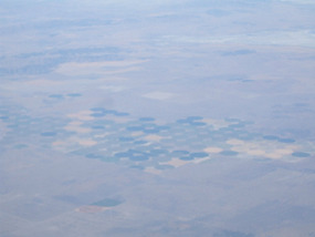 Circle Farms