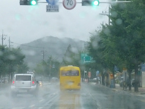 Following the Bus