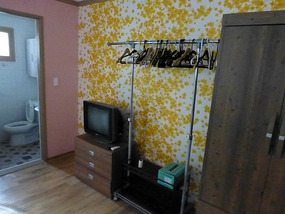 The Rest of the Pink Apartment