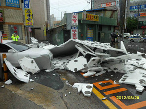 Daegu Typhoon Damage