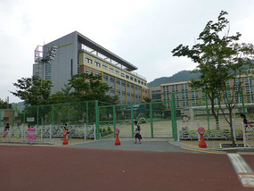 Local Elementary School