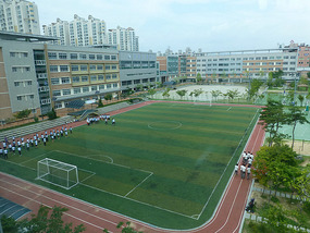 Sports Field and High School