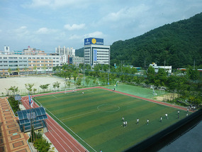View of Field and Mountain