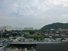 View from Roof Garden