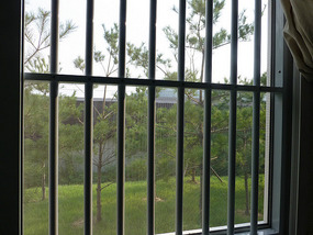 View of Garden