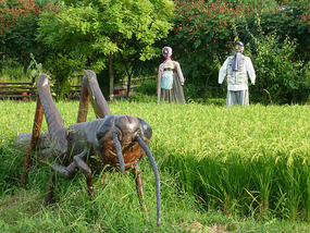 Scarecrows and Cricket