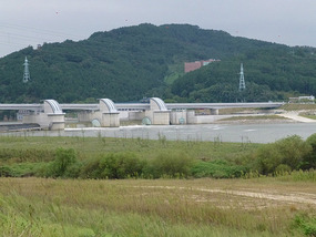 Return to the Dam
