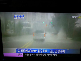 Typhoon Reaches South Coast
