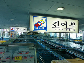 Fresh Fish Pools
