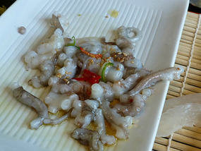 Wriggling Tentacles
