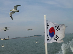 Seagulls Persist