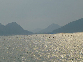 Sun Glistens on Sea