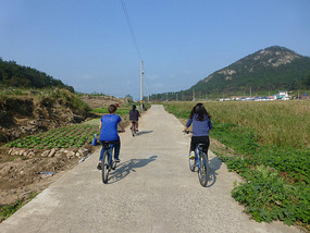 Biking Back Inland