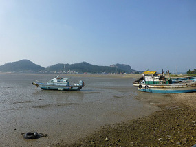 Boats in Low Tide