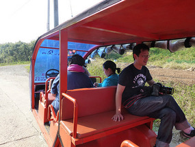 Loading Back onto the Buggy