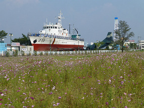 Outdoor Ship