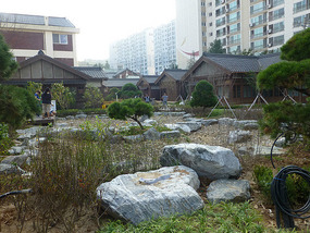 Landscaped Gardens