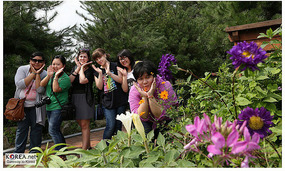 Group Flower Pic