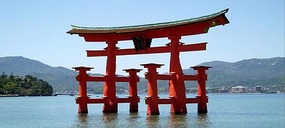 Floating Todori at Miyajima