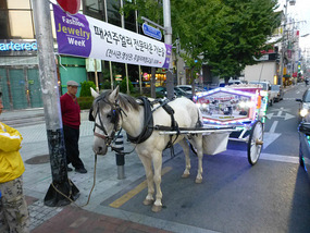 Horse and Carriage