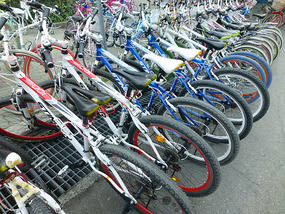 Mountain Bikes