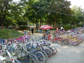 Duryu Bike Rentals