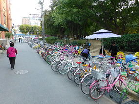 Long Line of Bikes