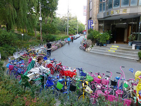 Long Row of Rentals