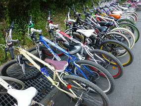 Mountain Bikes
