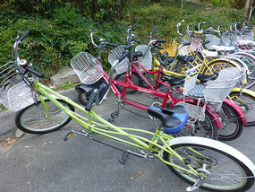 Tandem Bikes