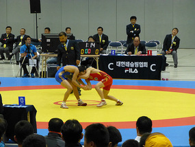 Wrestling
