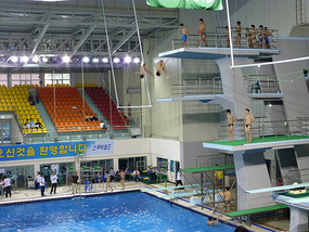 Mens Synchro Diving
