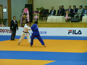 Judo Championships
