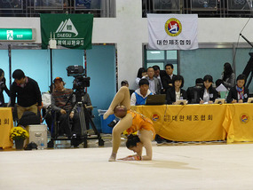Rythmic Gymnastics