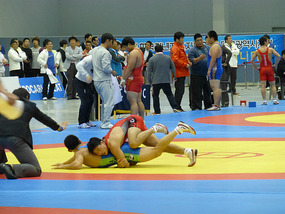 Wrestling