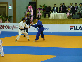 Judo Championships