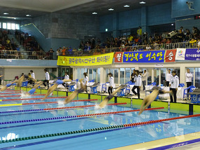 Swimming Mens Starting Dive
