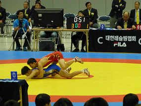 Wrestling