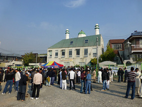 Busy Field