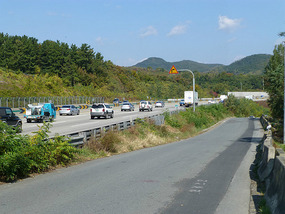 Biking Along the Highway