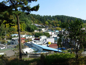 Distant View of Temple
