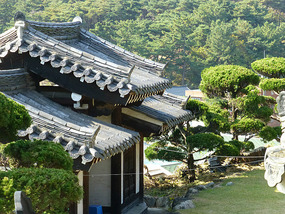 Entrance Garden