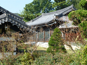 Inside Complex