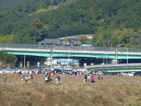 Spotting the Temple on the North Side