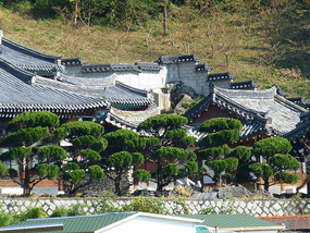 Temple Trees