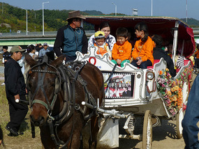 Horse and Cart Rides