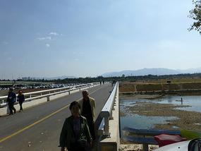 Bridge to Island