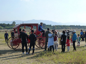 Busy Horse and Cart Rides
