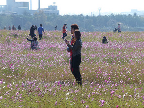Couple in Flower Field